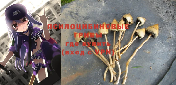 молекула духа Лиски