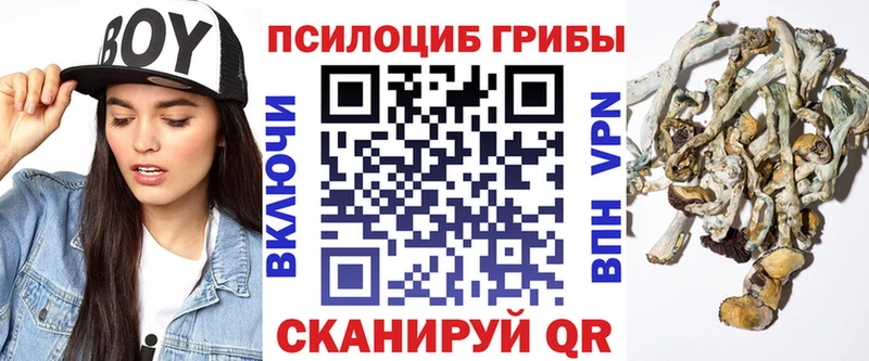 Галлюциногенные грибы Psilocybine cubensis  Купить где  Подпорожье 